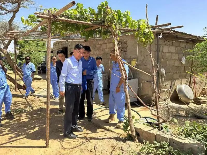 中国驻厄立特里亚大使蔡革赴克尔克贝特项目走访调研