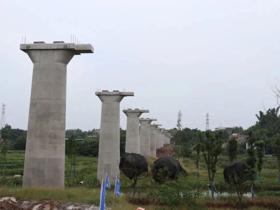 微信图片_20231024112828.jpg 微信图片_20231024112828.jpg